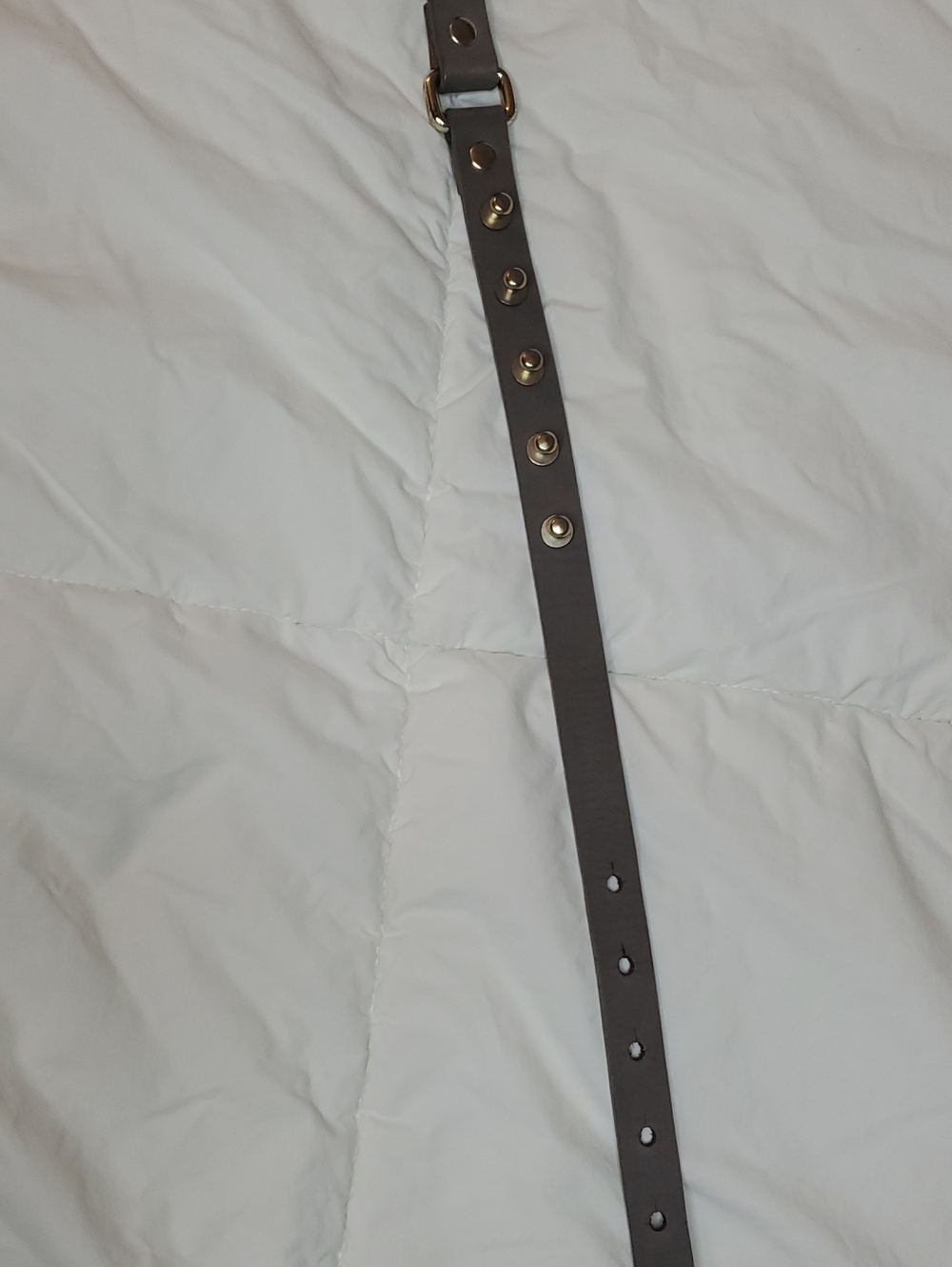 GAP Women's Gray Leather Belt with Gold Studs.